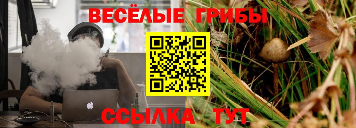 Псилоцибиновые грибы Psilocybine cubensis  Псилоцибиновые грибы Magic Shrooms  Апрелевка  купить наркоту  Вход с VPN 